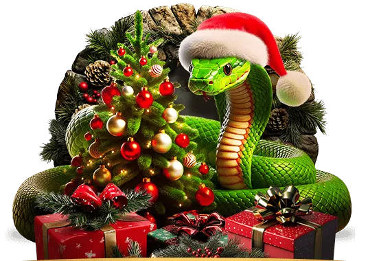 Бонус казино новым игрокам. 