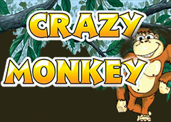 Crazy Monkey. 